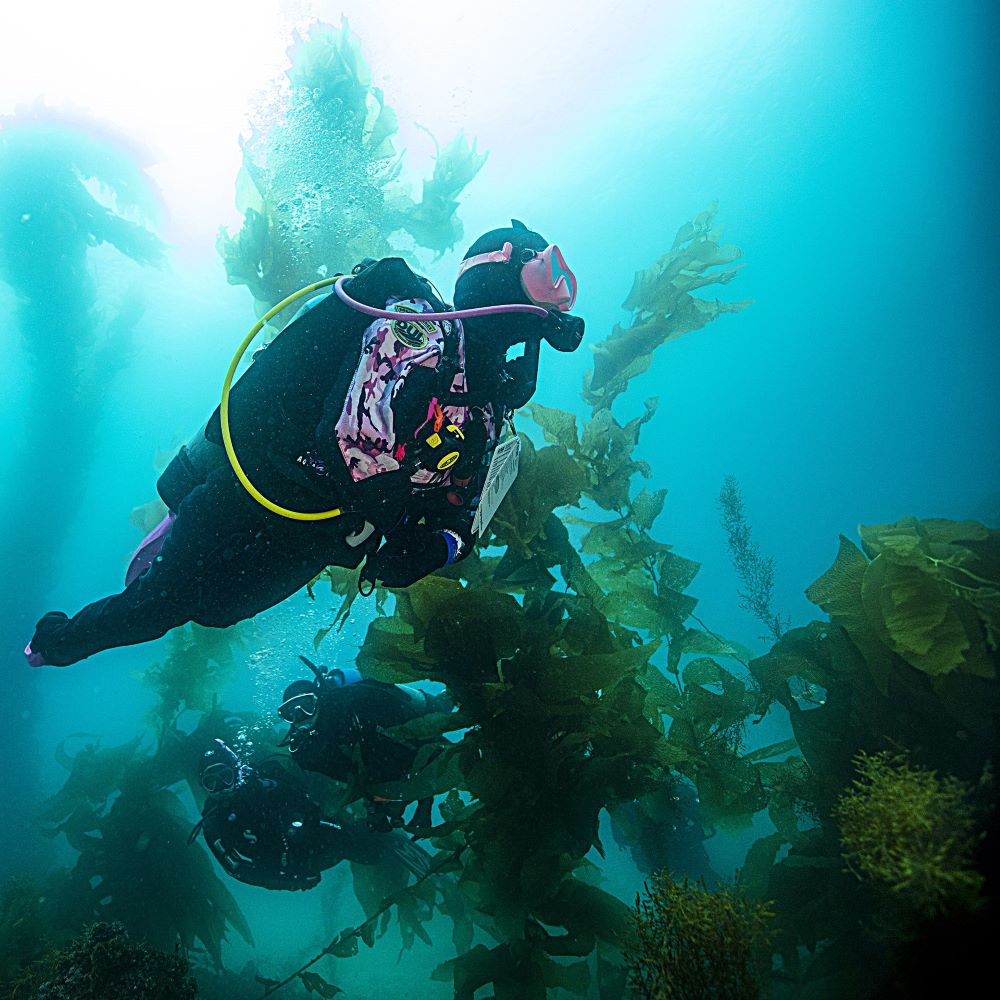 Friends talking after a dive day