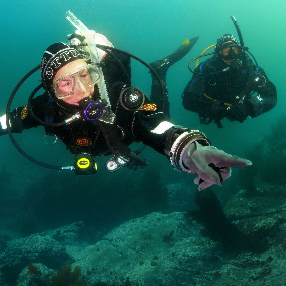 Urban professionals transitioning into an outdoor dive weekend