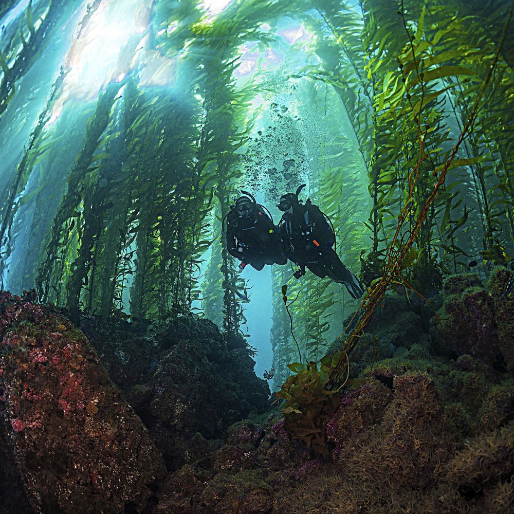 Post-dive social hangout and food with local divers
