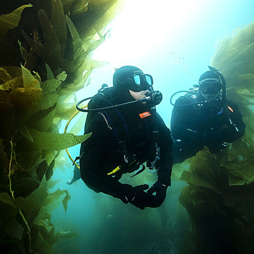 Instructor helping a new diver feel comfortable