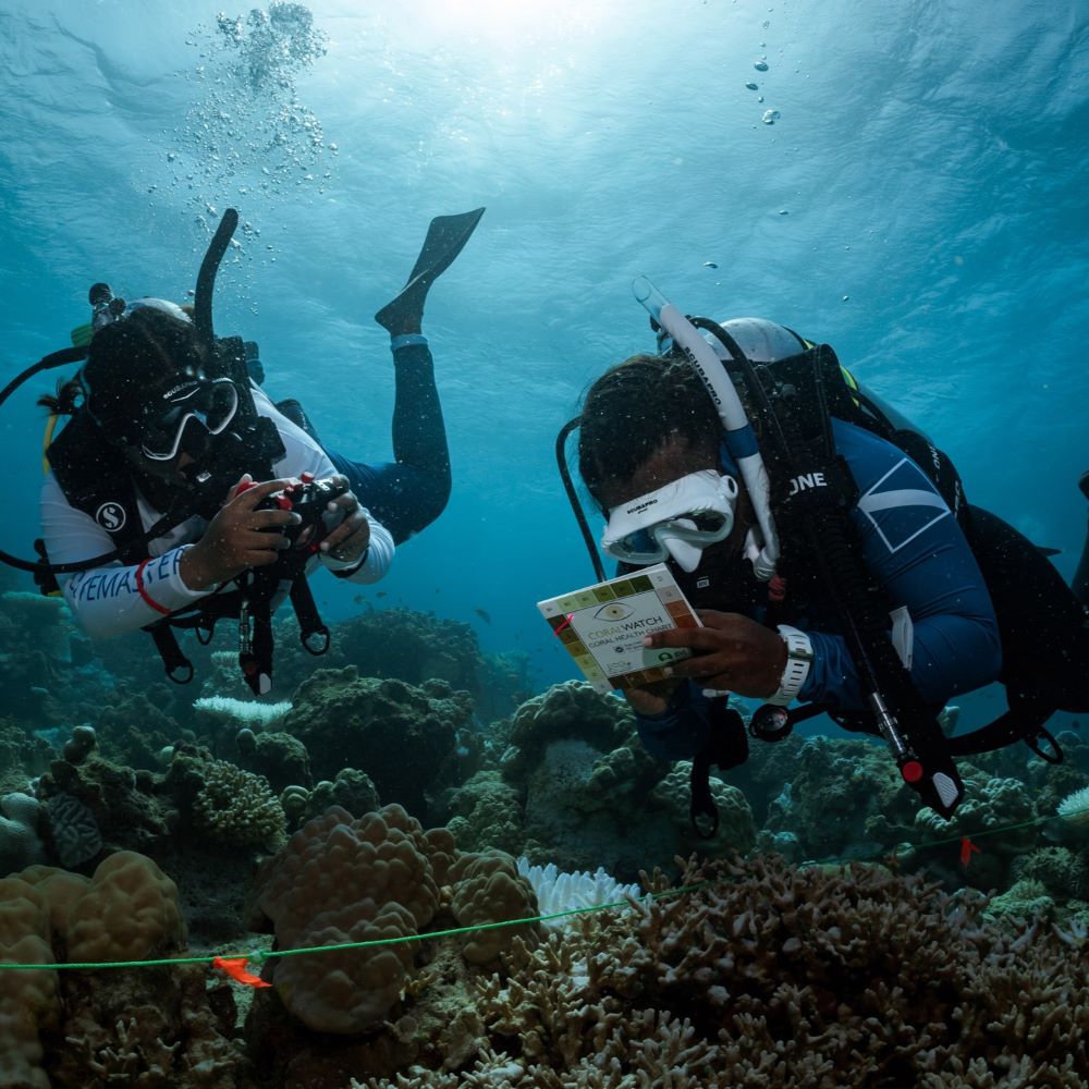 Beginner divers in a controlled training environment