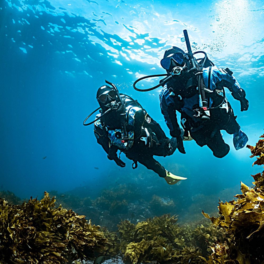 Relaxed beginner dive scene