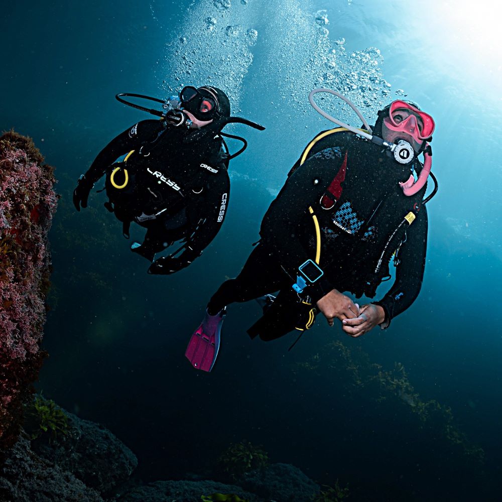 Underwater image from a Michigan dive