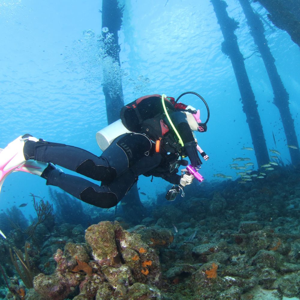 Young professionals gathering before a dive weekend