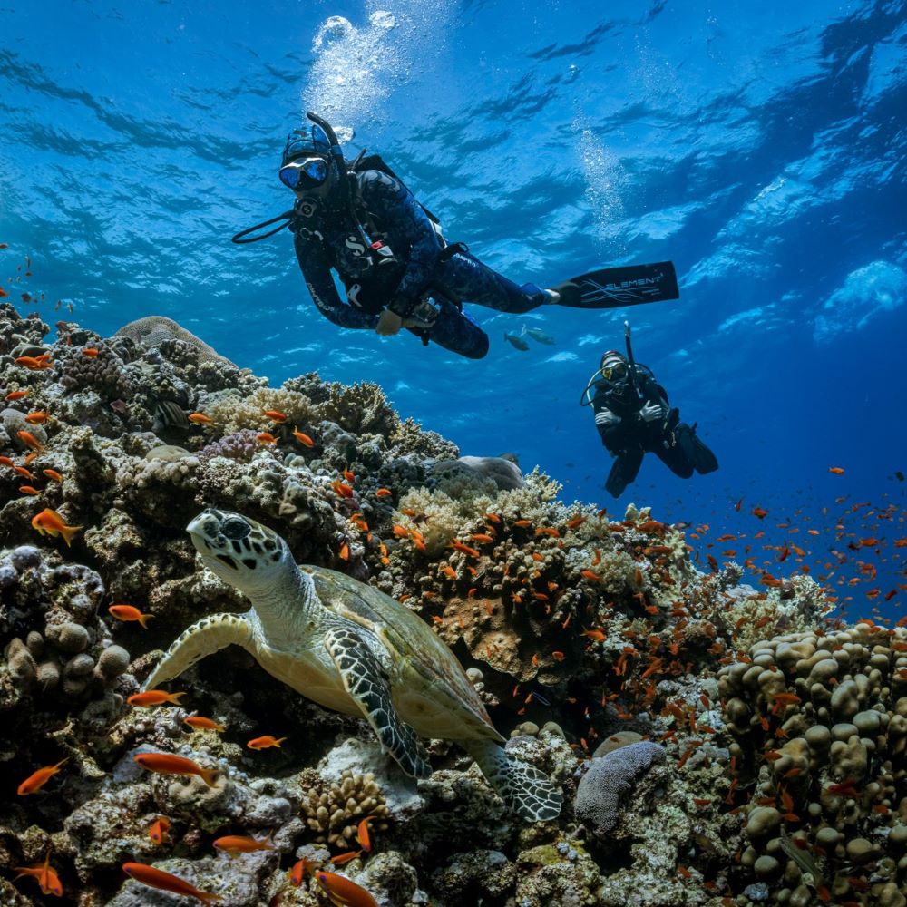 Ann Arbor lifestyle and social scene connected with diving