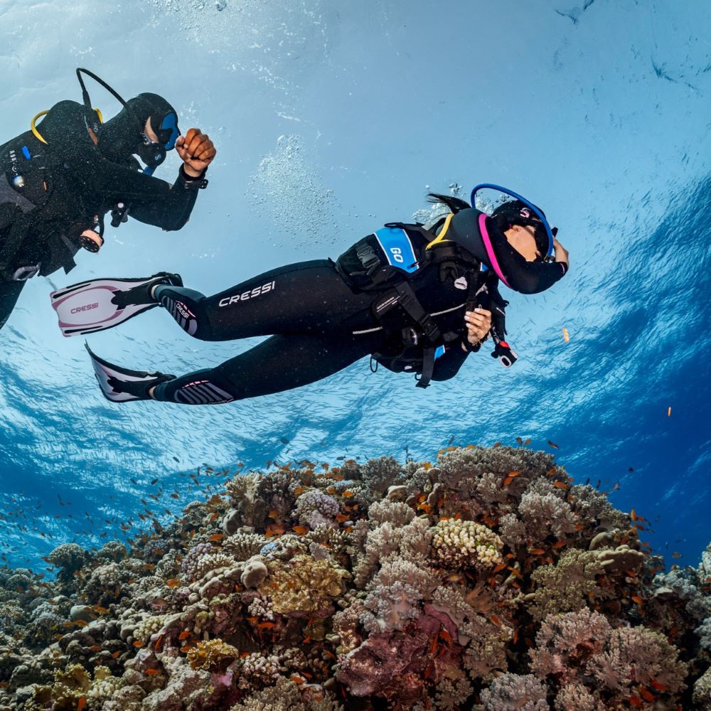 Local divers leaving Ann Arbor for a day trip